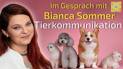 Tierkommunikation - Bianca Sommer