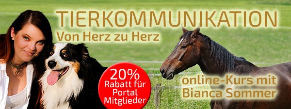 Tierkommunikation - Bianca Sommer