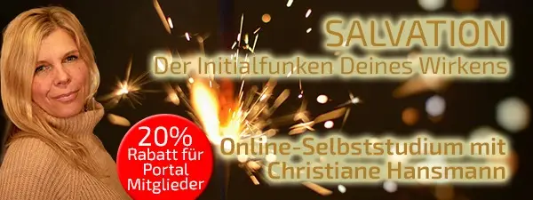 SALVATION - Der Initialfunken Deines Wirkens - Christiane Hansmann