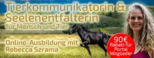 Tierkommunikatorin und Seelenentfalterin - Rebecca Szrama 90
