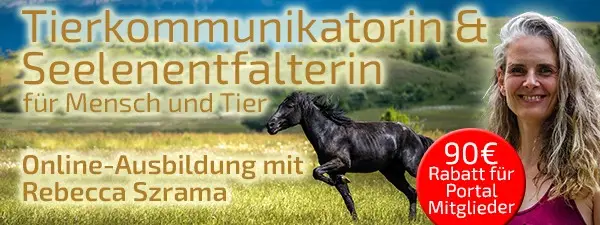Tierkommunikatorin und Seelenentfalterin - Rebecca Szrama 90