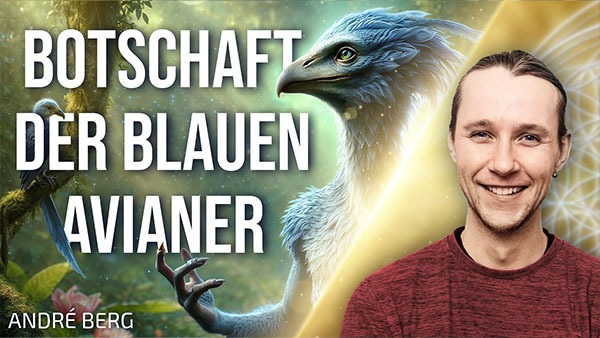 Den Schleier durchdringen | Channeling der blauen Avianer - André Berg