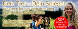 Dein Tier Dein Spiegel - Rebecca Szrama